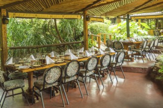 Table set on a jungle-colored terrace in a tropical environment in a restaurant in Nairobi, Kenya,