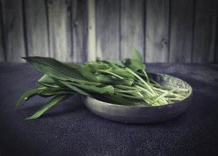 Fresh wild garlic