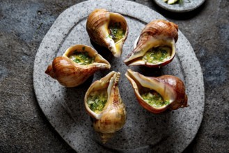 Food, Food, Chilean giant snails with butter, garlic and herbs on gray stone plate. escargot from