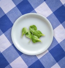 Diet Concept Image Of Spinach Salad Leaves On A White Plate On A Checked Table Cloth