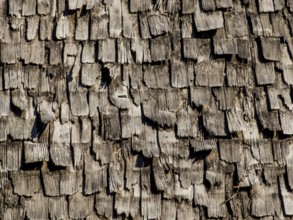 The roof of a very old house was covered with wooden shingles. Austria