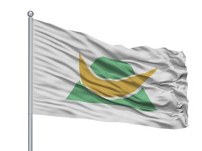 Shinshiro City Flag On Flagpole, Country Japan, Aichi Prefecture, Isolated On White Background