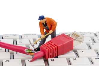 Worker, network plug, keyboard, symbol photo for Internet, malfunction, maintenance, problem