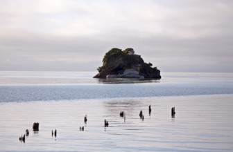 Cook Strait Collingwood New Zealand Ocean Island