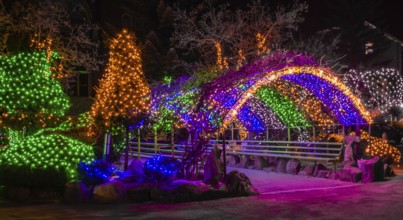 Taebeck, South Korea. January 29, 2019: Colorful Christmas lights on trees and on metal awning over