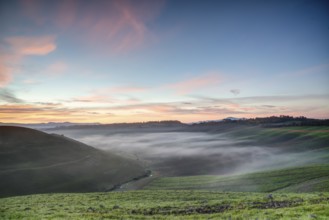 A beautiful misty sunrise in Tuscany