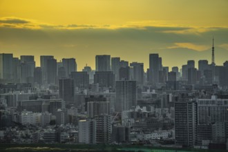 Tokyo townscaned at dusk. Shooting Location: Katsushika-ku, Tokyo