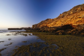 The idyllic Number Sixteen Beach at sunset in Rye, Victoria, Australia, Oceania