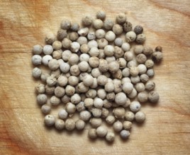 Spices, white pepper peppercorns macro on wooden board