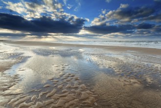 Sunshine over North sea beach at low tide, Netherlands