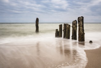 Groynes on the coast of the Baltic Sea