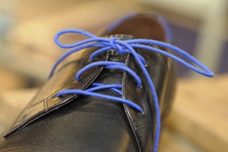 Blue shoelaces