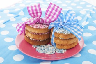 Dutch tradition with pink mice on biscuit while baby born isolated over white background