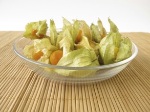Physalis ? Cape gooseberry