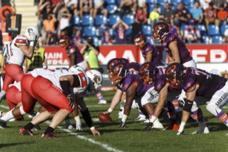 Euro Bowl XXXI