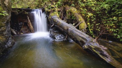 A waterfall in the mountains of Northern California. Color image, day