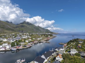Village scene amidst lush landscape, in the background view of the Vestfjord, Sorvagen, Lofoten,