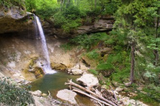 The waterfall near Scheidegg in Allgäu, Germany, Europe, Scheidegg, Germany, Europe