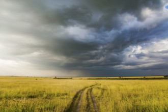 Journey to Africa. Storm clouds over a grassy savannah. The famous Masai Mara Reserve in Kenya. The