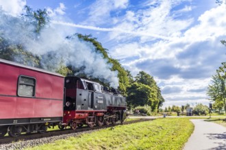 Molli train