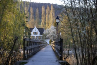 Wooden footbridge to the island of Werd, monastery island, Untersee, Eschenz, Thurgau, Switzerland,
