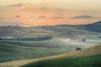 Crete Senesi Crete Senesi are literally Siennese clays and the distinctive grey colouration of the