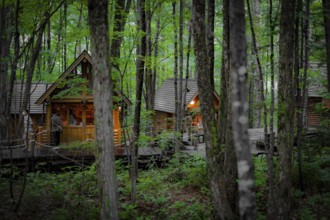 Image of Lodge standing in the forest. Shooting Location: Hokkaido Furano