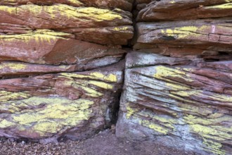 Detail of the Geiersteinfelsen, Geierstein, sandstone, Palatinate Forest, Bruchweiler-Bärenbach,