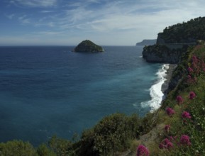 View of the cliffs from the