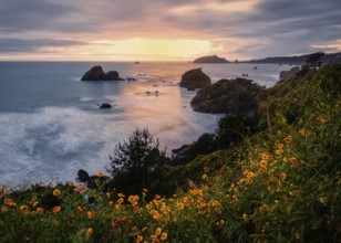 Sunset at a Rocky Beach, Northern California, USA, North America