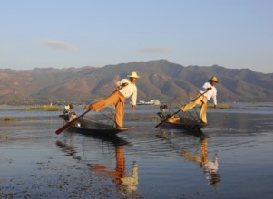 Myanmar travel attraction landmark, Traditional Burmese fishermen with fishing net at Inle lake in