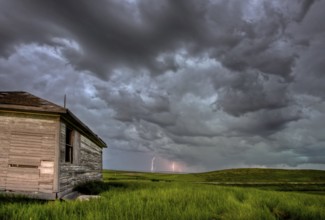 Sunset and durum wheat crop storm clouds