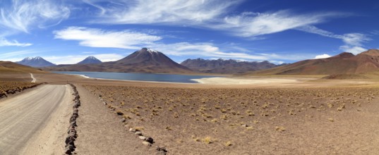 Laguna Miscanti in the Atacama Desert in Chile