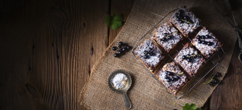 Polish tin cake with fruit and folds