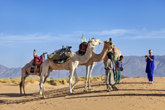 Group of camels with people in a sandy desert landscape with mountains in the background, Tuareg