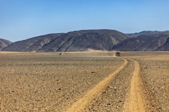 Dusty desert road leads through barren landscape with mountains, By off-road vehicle through the