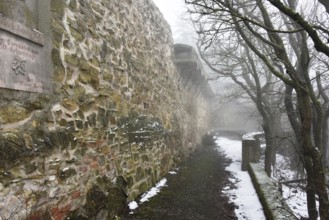 Leopoldsberg castle ruins Vienna, Austria, Europe