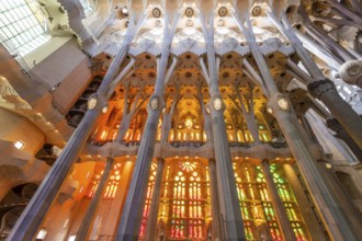 Barcelona, Spain, April 7, 2023: Interior of La Sagrada Familia cathedral, designed by Gaudi, it is