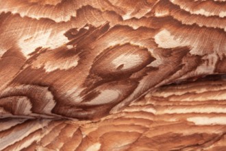 Multi-colored sandstone rock and mineral layers in ancient tombs of Petra, Jordan. Pattern,