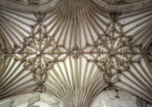Canterbury, Cathedral, vault in the cloister