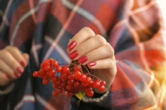Stylish red female nails. Hands Holding Red Currants. Modern Beautiful manicure. Autumn winter nail