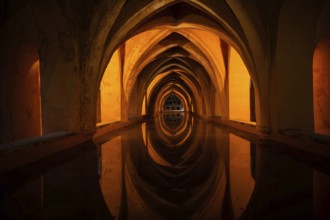 Alcazar tank, night, spain