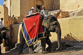 Fort Amber, Amber, near Jaipur, Rajasthan, North India, India, Asia, Elephants decorated with