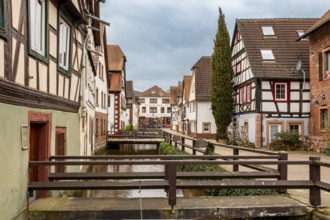 Half-timbered houses on Gerbergasse by the River Queich in the old town centre of Annweiler am