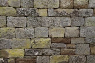 Dry stone wall, vineyard, museum vineyard, garden design, ecology, horticulture, Allmende Stetten,