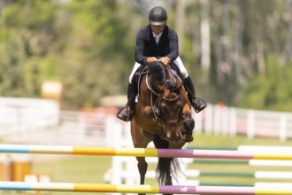 Will Simpson of the United States and riding Imar, compete in the 1.60m Grand Prix during The