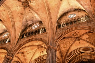 Gothic Cathedral, Catedral de la Santa Creu, Barri Gotic, Old Town, Ciutat Vella, Barcelona,