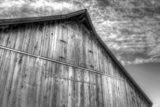 An abandoned barn in Northern California, USA, North America