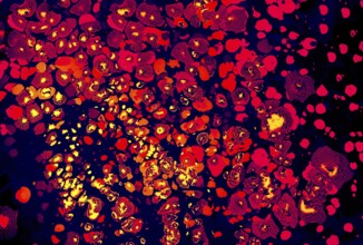 Abstract creative marbling pattern for fabric, design background texture