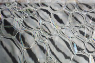 Oil bubbles inside water base form patterns